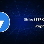 Strike (STRK) Nedir?