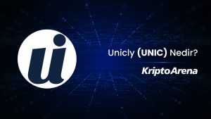 Unicly (UNIC) Nedir?