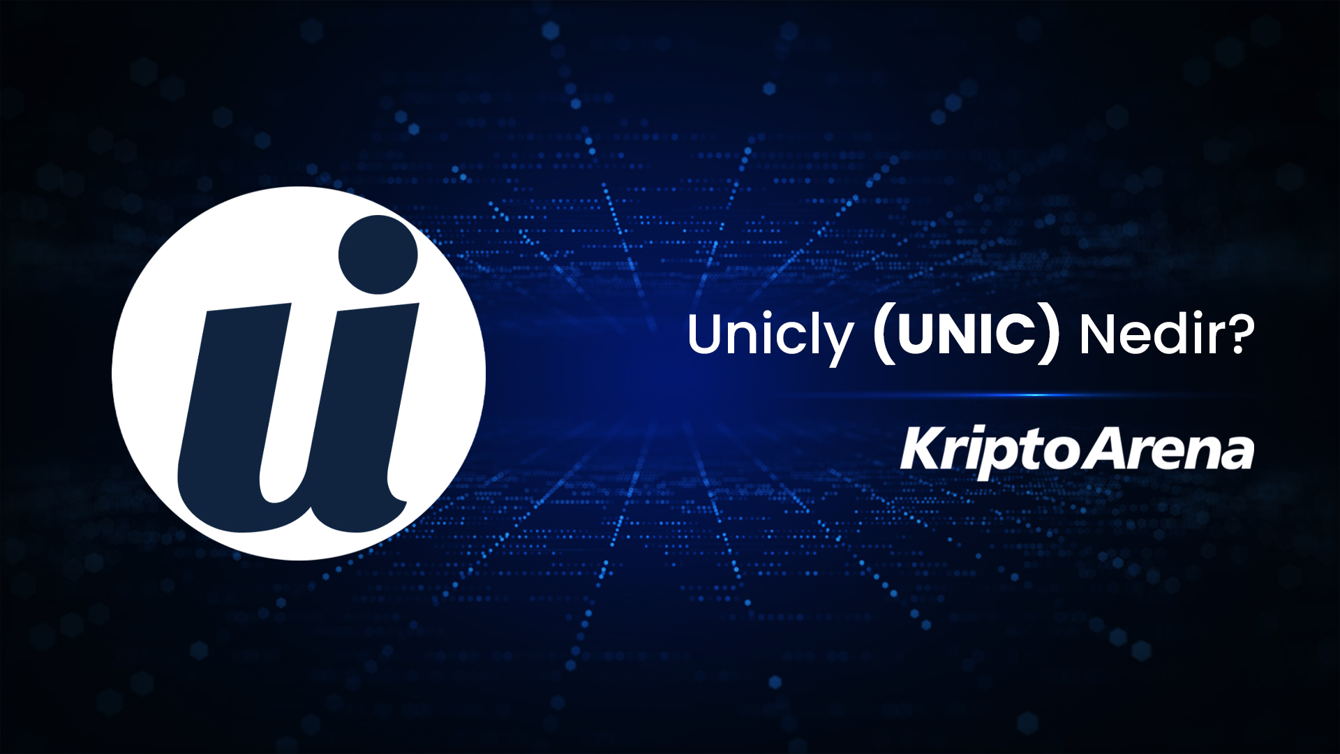 Unicly (UNIC) Nedir?