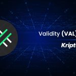 Validity (VAL) Nedir?