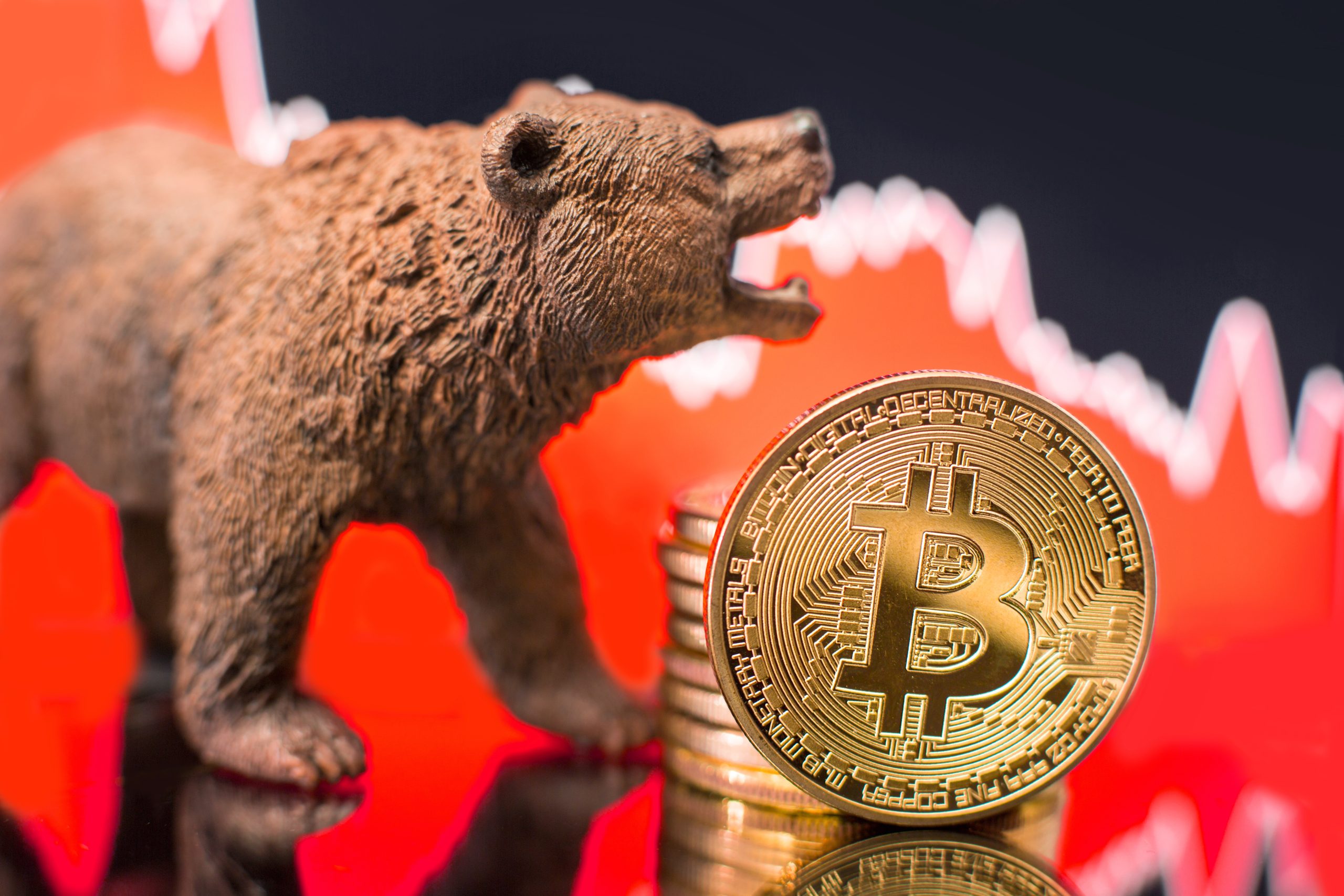 Başarılı Bitcoin Analisti: Ayı Piyasası Bu Tarihte Bitiyor!