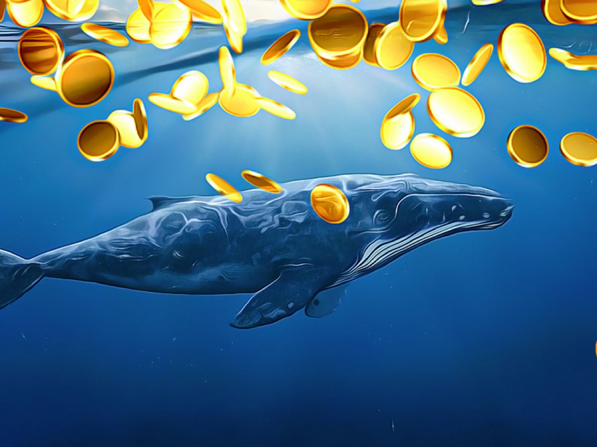 Balinalar Bu Altcoin'i Satarken Bu Metaverse Coin'i Aldı!