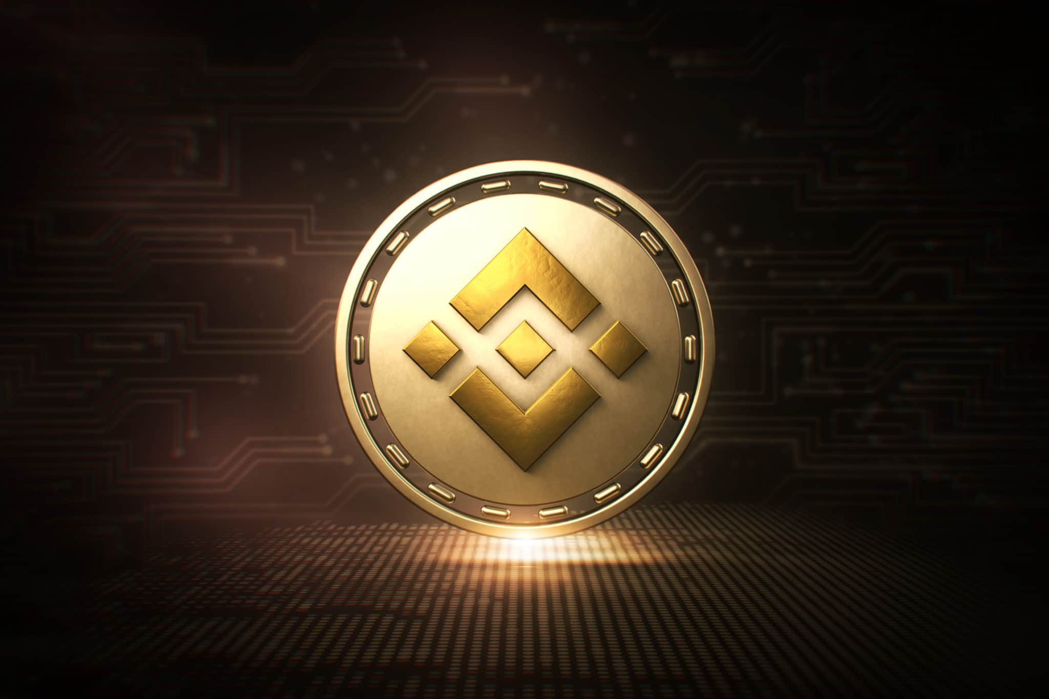 Binance'deki Bu Altcoin İçin Şok: Menkul Kıymet Olabilir!