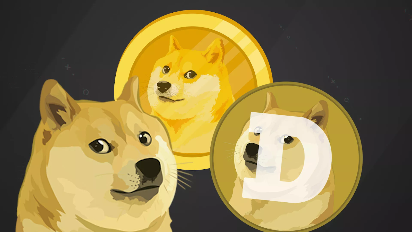 Dogecoin ve Bu Altcoinlerin Olduğu 150 Hesaba El Konulabilir!