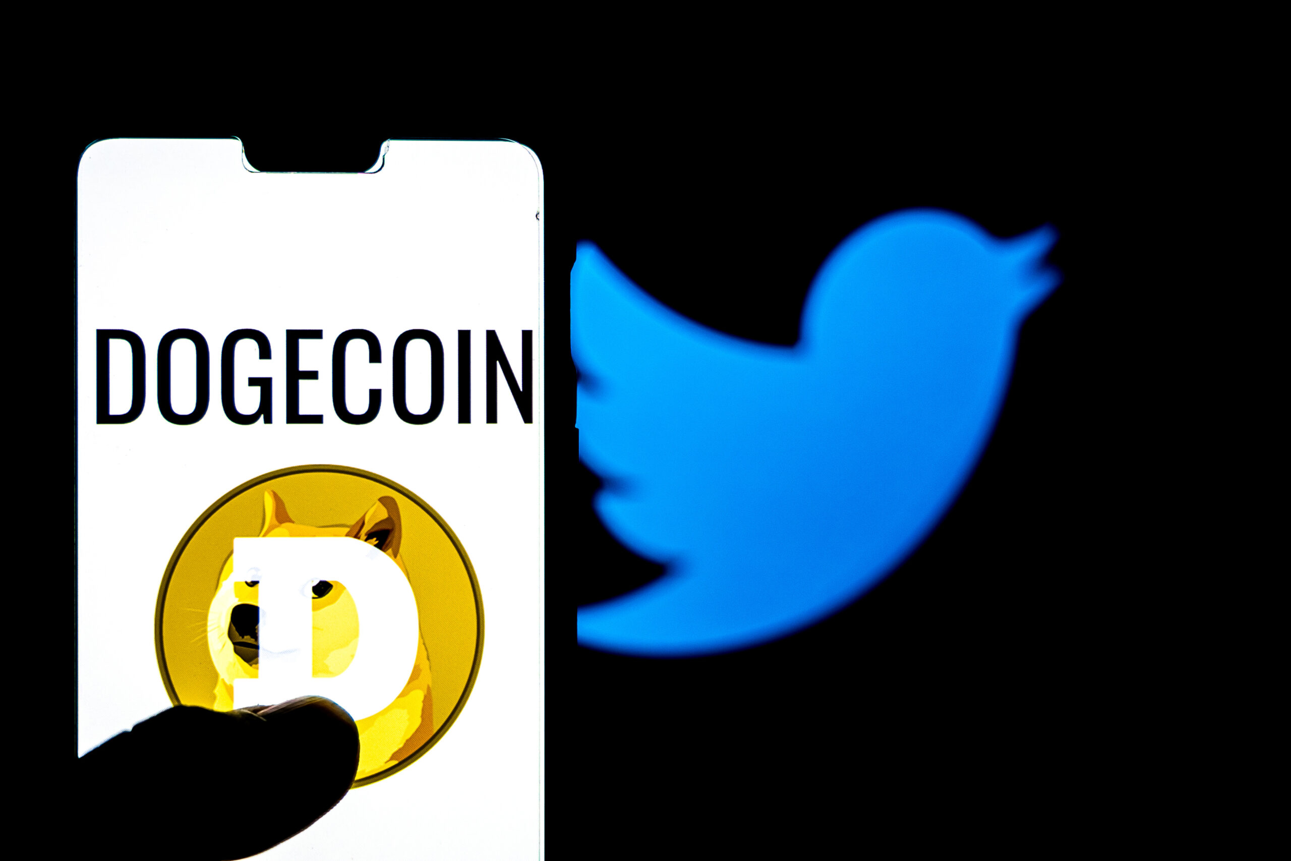 DOGE Bakakaldı: Twitter Bu 2 Coini Sepetine Ekledi!