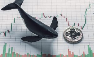 En Büyük 100 Balina, DOGE Değil: Bu Altcoin'i Topluyor!