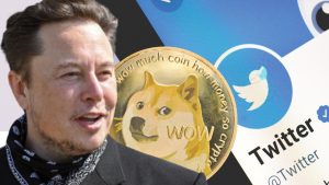 Elon Musk'a DOGE Değil: Bu Coin ile Teklif Geldi!
