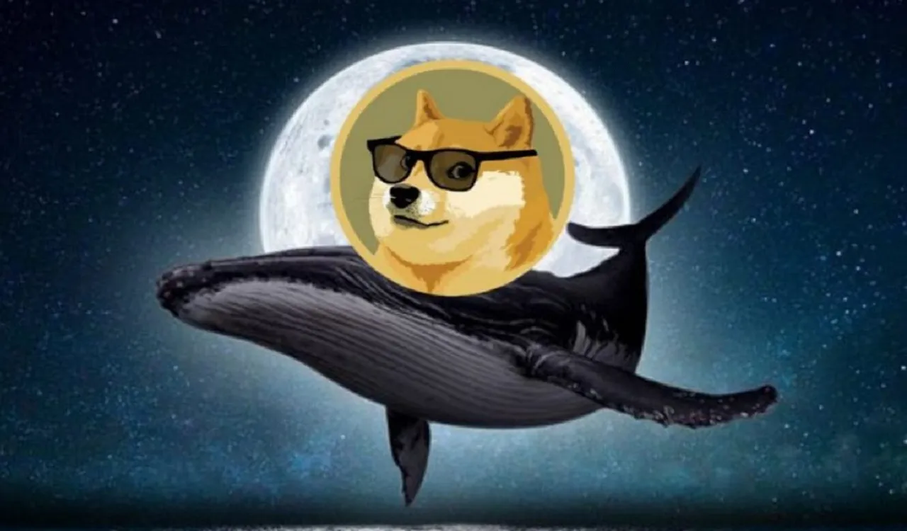 Binance Balinaları, DOGE ve Bu Altcoin'lerin Peşine Düştü!