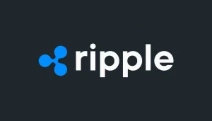Piyasa Bunu Konuşuyor: Ripple Hinman Belgelerini Gizliyor!