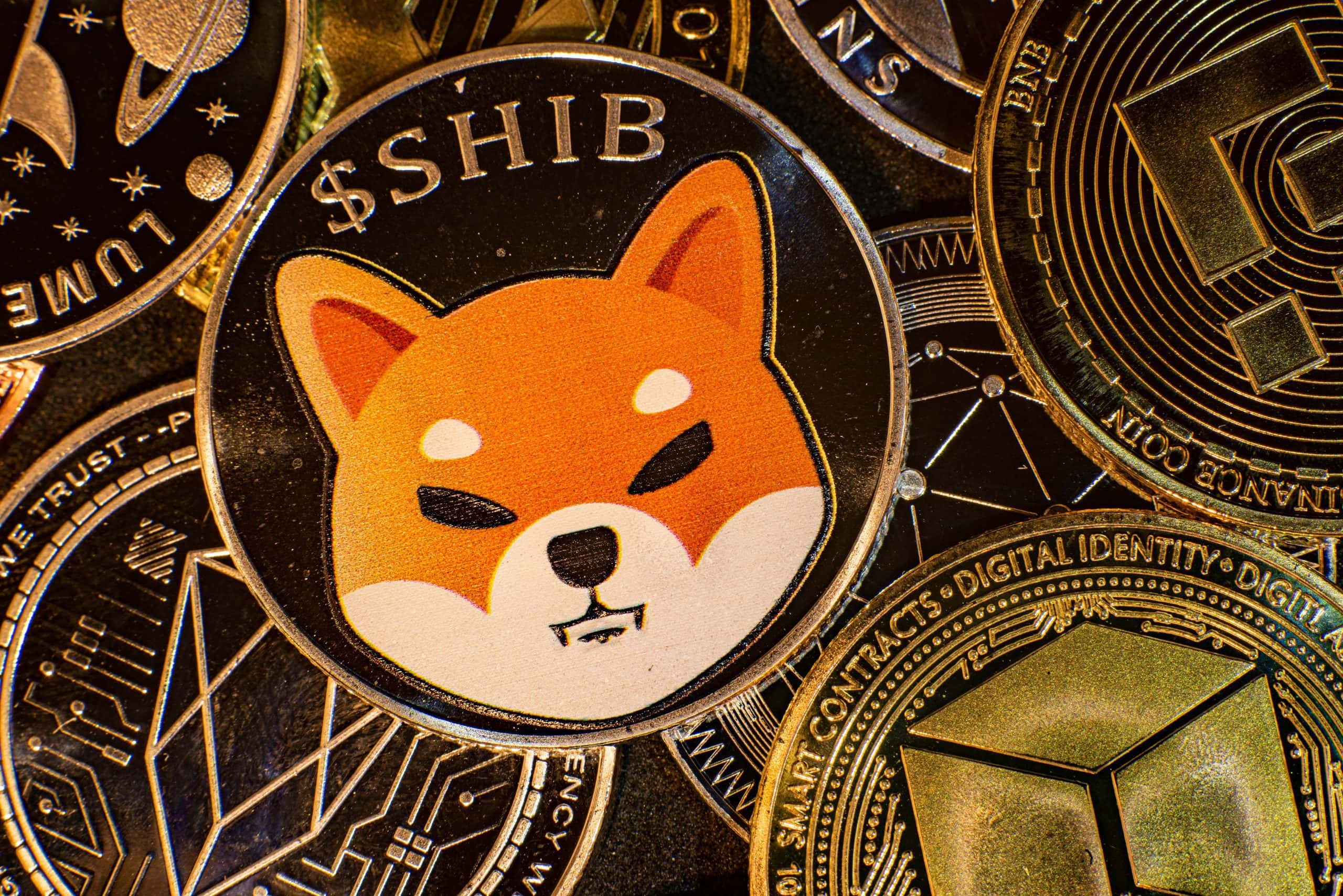 Listeye Dikkat: Herkes SHIB ve Bu 8 Altcoin'in Peşinde!