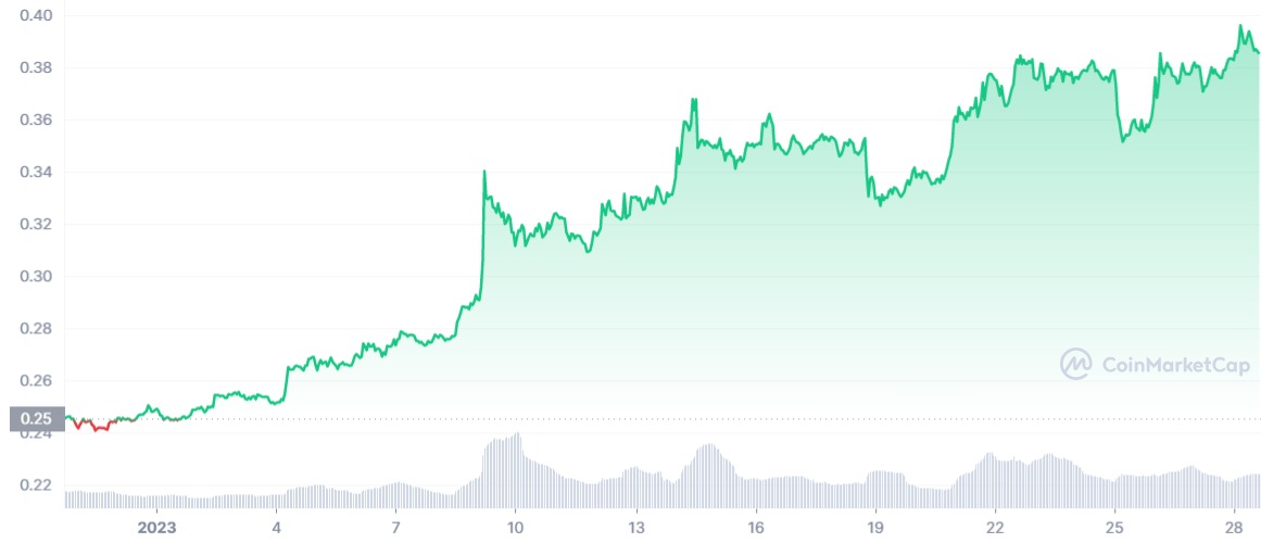 '10x Yapabilir' Denilen 5 Altcoin Açıklandı!