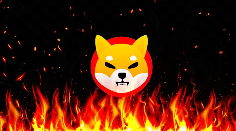 Bu Memecoin İçin Müjdeli Haber Geldi! Yakım Oranları Artıyor!