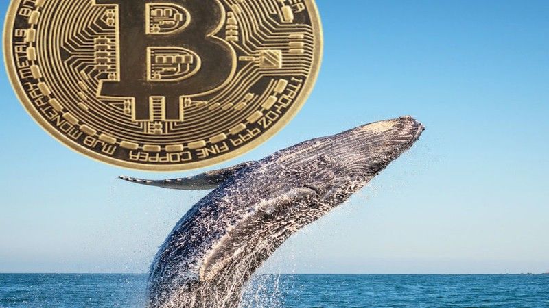 Balinalar Bitcoin Satıyor! Sonra Bu 4 Altcoin'den Alıyor!