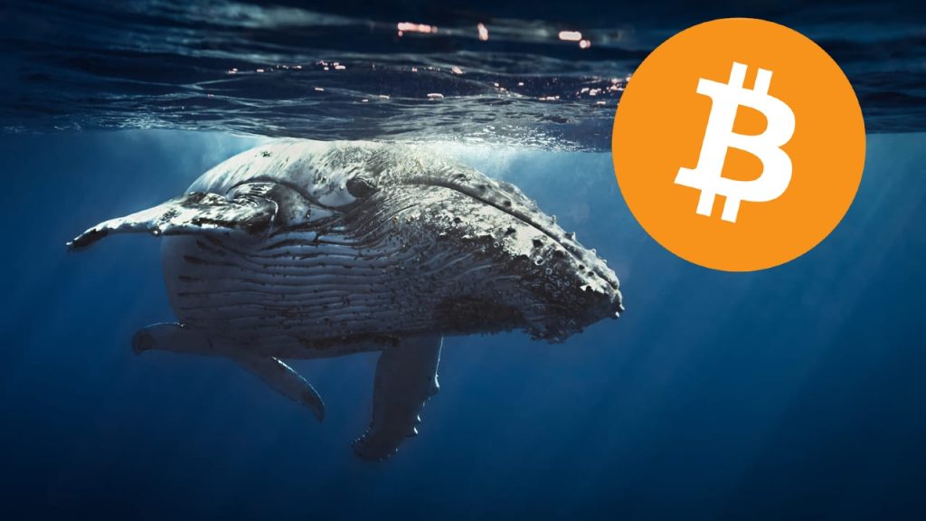 Ünlü Balina, Bitcoin İçin Tarih Verdi: Görülmemiş Kırılma!