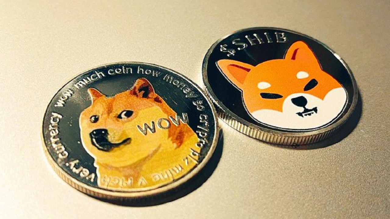 SHIB, DOGE'u Unutun: Bu Altcoin 14x Yaptı!