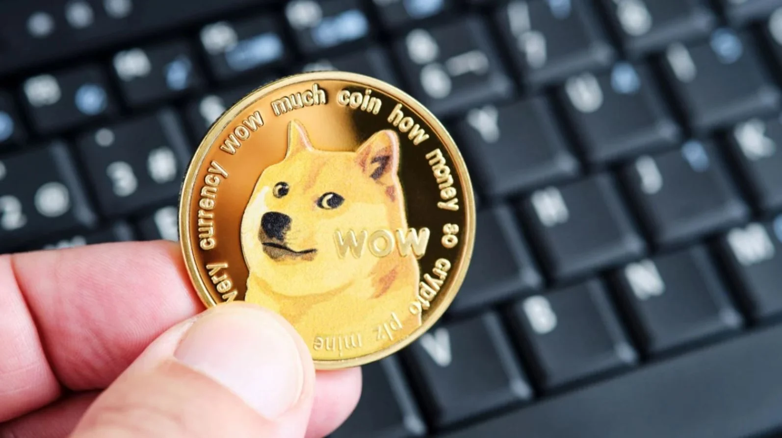 Dogecoin İçin Çarpıcı Ocak Tahmini: Bu Seviyeler Bekleniyor!