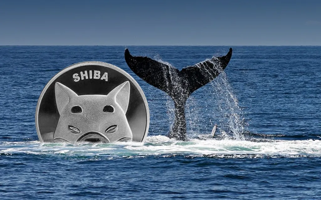 En Büyük SHIB Balinası, Bu Yapay Zeka Coinleri Alıyor!