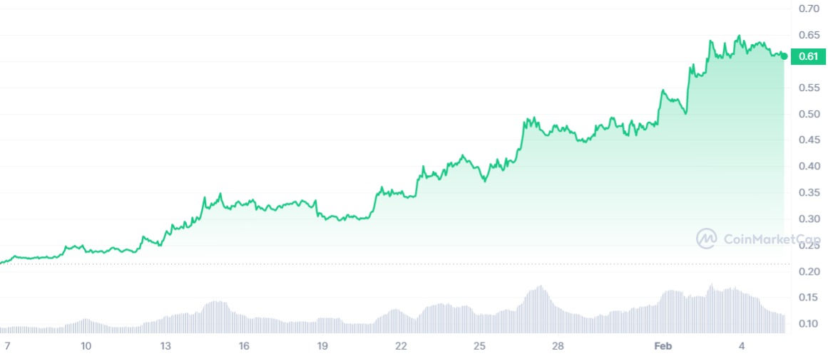 Analist İddialı: Bu 5 Altcoin Çılgınca Yükselebilir!