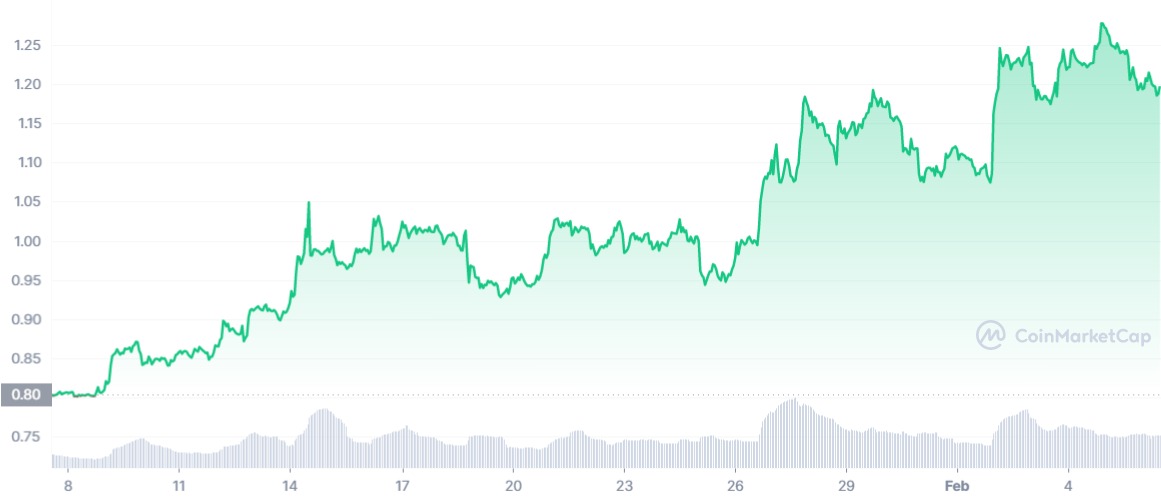 Profesyonel Analist Bitcoin'i Bırakıp 'Bu Altcoin' Dedi!