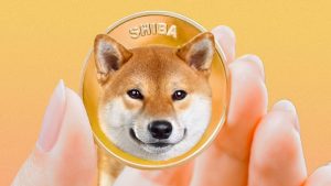 Arama Rekoru: Shiba Inu Türk Yatırımcıların Gözdesi Oldu!