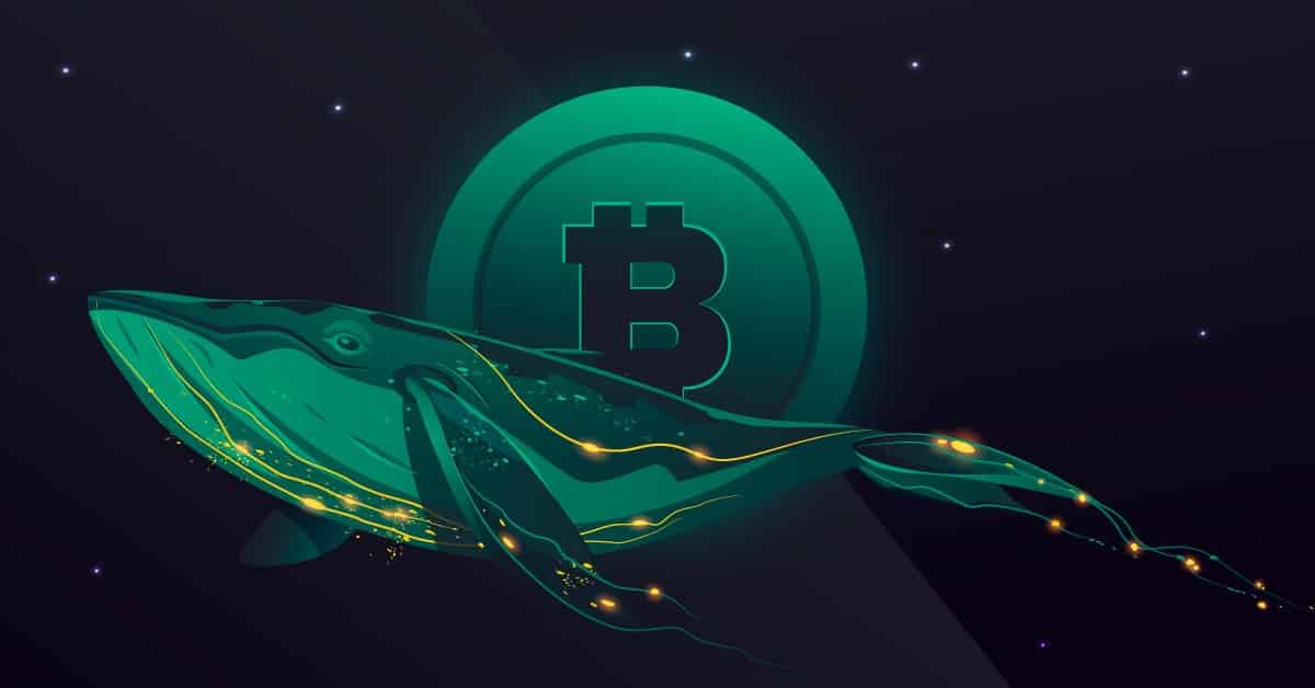 2013'ten Bu Yana Uyuyan Bitcoin Balinası Uyandı: Satış Mı?