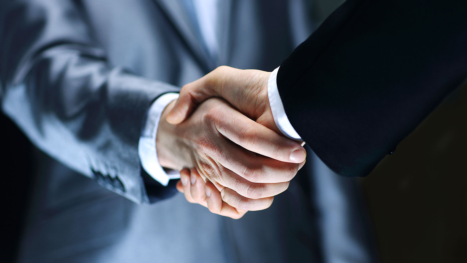 Bu Popüler Altcoin Ve Alibaba Ortaklık Kurdu: Fiyat Fırladı!