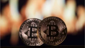 Ünlü Ekonomist Açıkladı: "Çöküşten Kurtulmak İçin Bitcoin!"