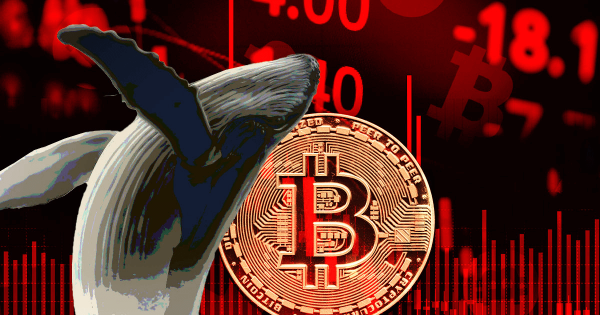 Glassnode: Balinalar Agresif Şekilde Bitcoin Biriktiriyor! İşte Nedeni