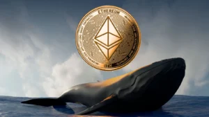 Balinalar Çöküş Sonrası Harekete Geçti: 22 Milyon Dolarlık ETH!