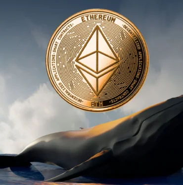 Balinalar Çöküş Sonrası Harekete Geçti: 22 Milyon Dolarlık ETH!