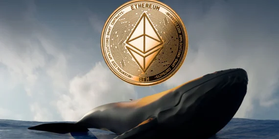 Balinalar Çöküş Sonrası Harekete Geçti: 22 Milyon Dolarlık ETH!