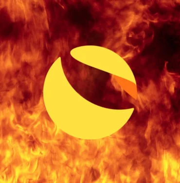 Bu Altcoin Topluluğu 800 Bin USTC'lik Yakım Teklifini Kabul Etti!