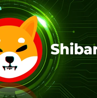 Shibarium'daki Yeni Duyuru Bu Altcoin İçin Yükseliş Getirdi!