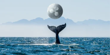 Dikkat: Balinalar Büyük Borsalara Ripple Taşıyor! İşte Detaylar