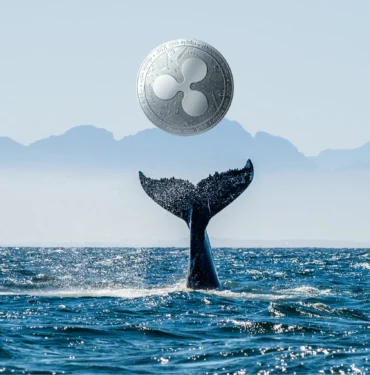 Dikkat: Balinalar Büyük Borsalara Ripple Taşıyor! İşte Detaylar