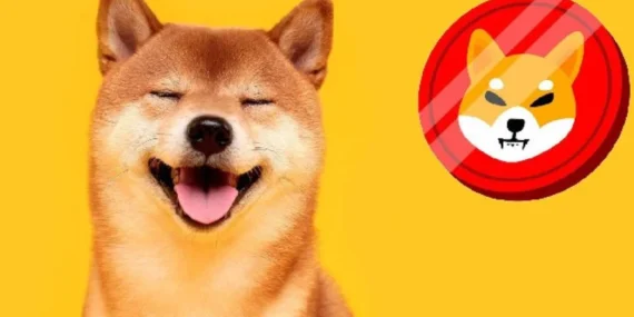 Popüler Meme Coin Bir Aşama Daha Katetti! Sırada Ne Var?