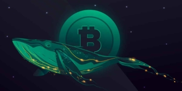 Glassnode Uyardı: Bitcoin Balinalarının Sayısı Artıyor!