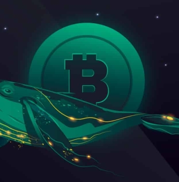 Glassnode Uyardı: Bitcoin Balinalarının Sayısı Artıyor!