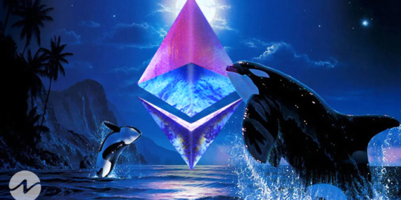 İki Ethereum Balinası Bu Borsaya 500 Milyon Dolar Aktardı! İşte Nedeni!
