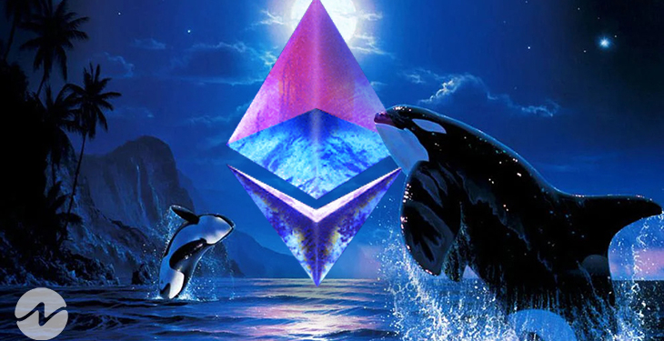 İki Ethereum Balinası Bu Borsaya 500 Milyon Dolar Aktardı! İşte Nedeni!