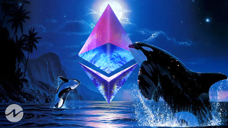 İki Ethereum Balinası Bu Borsaya 500 Milyon Dolar Aktardı! İşte Nedeni!
