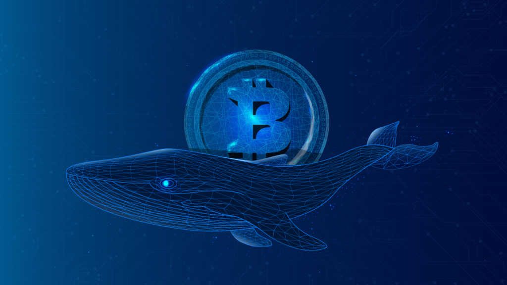 Bitcoin Balinaları Geri Dönüyor: Boğa Koşusu Yaklaşıyor Mu?