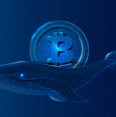 Bitcoin Balinaları Geri Dönüyor: Boğa Koşusu Yaklaşıyor Mu?