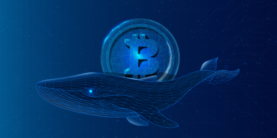 Bitcoin Balinaları Geri Dönüyor: Boğa Koşusu Yaklaşıyor Mu?