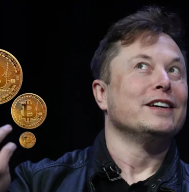 elon-musk-bitcoin-1