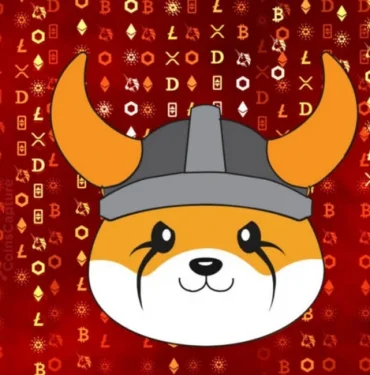 Floki-inu