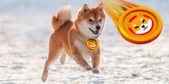 Kripto Paralar Arasında Yıldızı Parlayacak mı? Shiba Inu 1 Dolara Ulaşır mı? Yeni Projelerle Tanışın