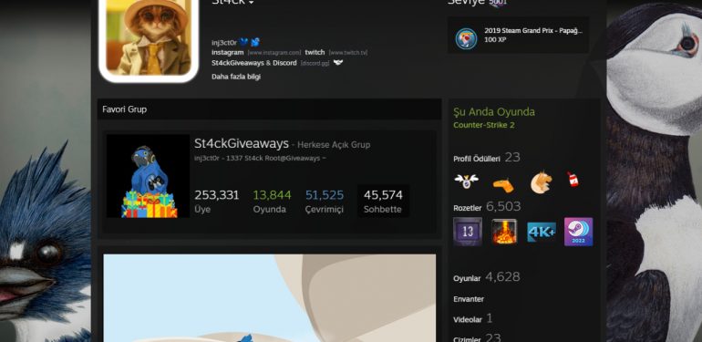 Valve, Steam Hesabı Değeri 15 Milyon TL Olan Kullanıcıyı Yasakladı!