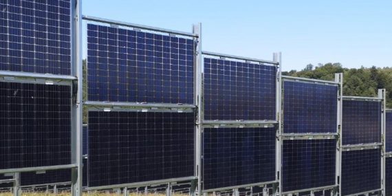 iSun ve Next2Sun İş Birliğiyle ABD’nin İlk Dikey Tarım Güneş Enerjisi Santrali Hayata Geçiyor