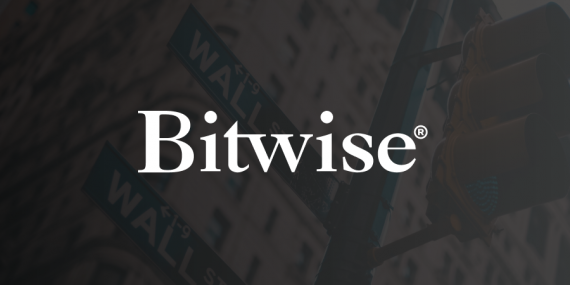 Bitwise, 2024’te Bitcoin ve Kripto Piyasası İçin Büyük Beklentilerini Açıkladı
